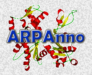 ARP Annotation server